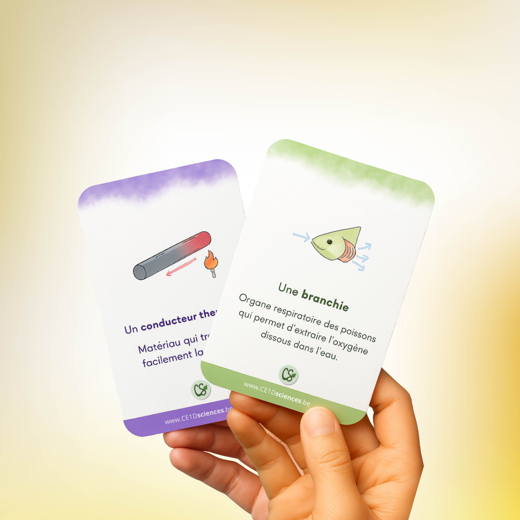 Jeu de cartes - Mots-clés