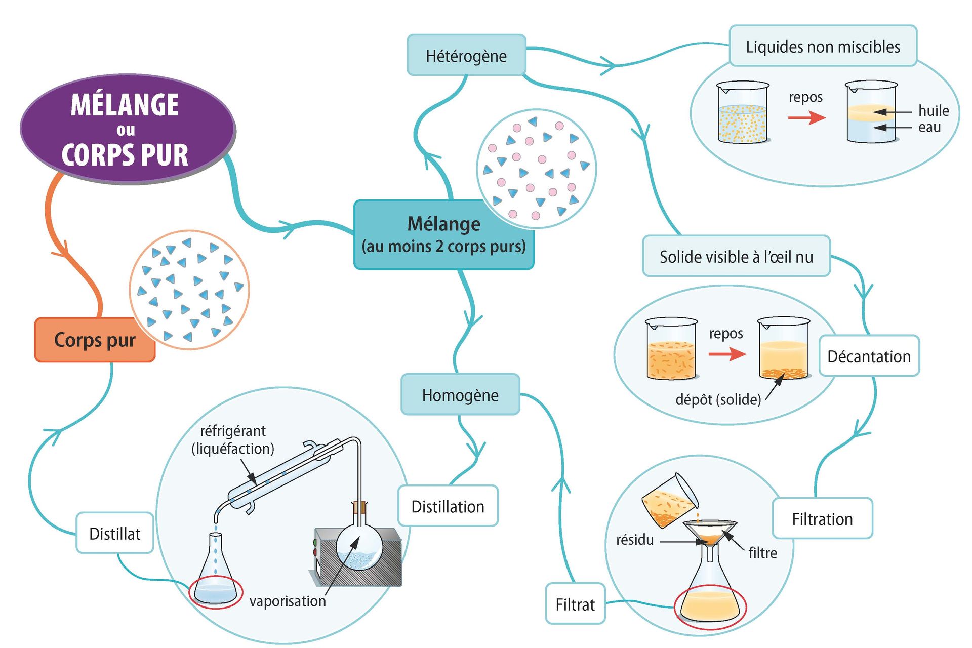 CE1D Sciences Outils pédagogiques gratuits