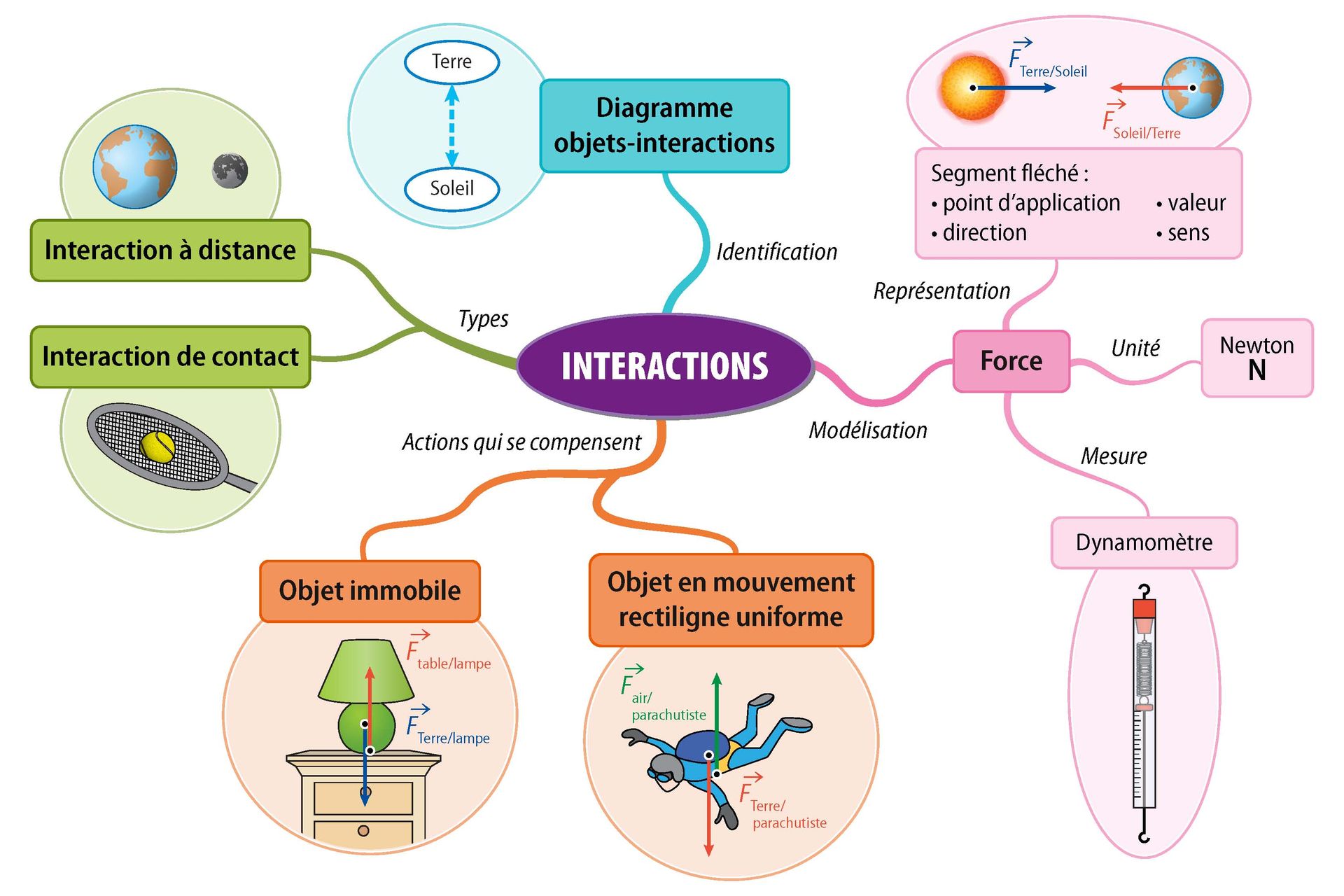 Synthèses CE1D Sciences