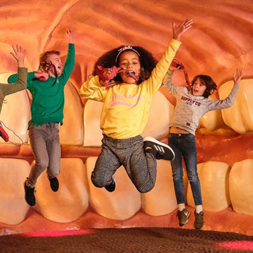 Sorties scolaires Sciences